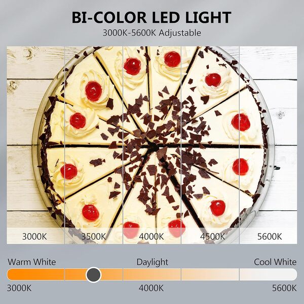 Takerers Boîte à lumière pour photographie, bicolore, intensité variable, 61 x 61 cm, toile de fond 6 couleurs, boîte à lumière pliable avec 240 LED, cabine d'éclairage 3000-6500 K