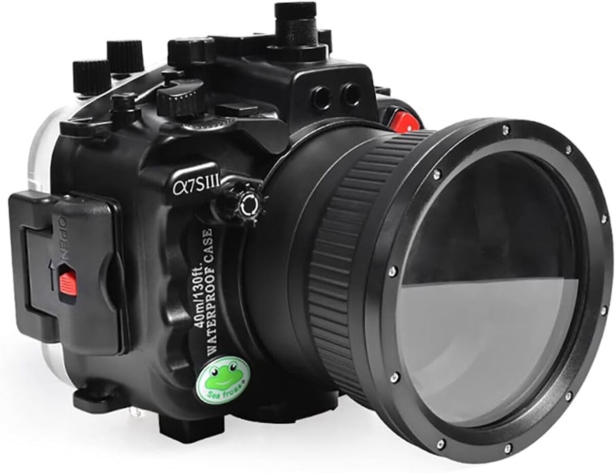 Test du boîtier étanche Sea frogs pour Sony A7S III 28-70 mm
