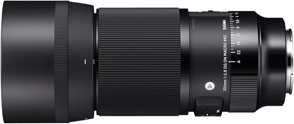 Sigma Objectif 105mm F2.8 DG DN Macro Art - Monture Sony