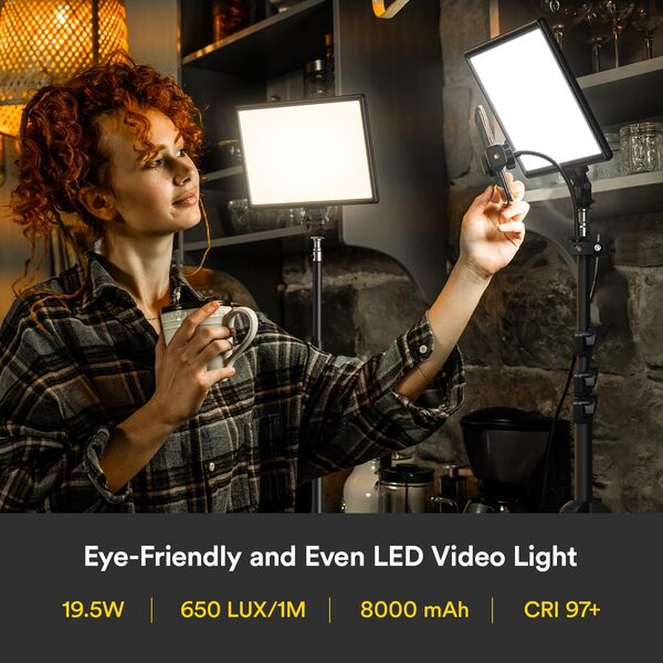 RALENO Lampes Vidéo LED 2-Pack, Panneau Vidéo 192 LED, avec Trépied réglable 180cm, Sac à main, Luminosité bicolore 3200-5600K, Luminosité à intensité variable (0-100%) CRI95 pour Studio Photo YouTube