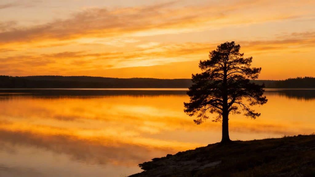 Conseils de Base en Photographie : guide pour Débutants