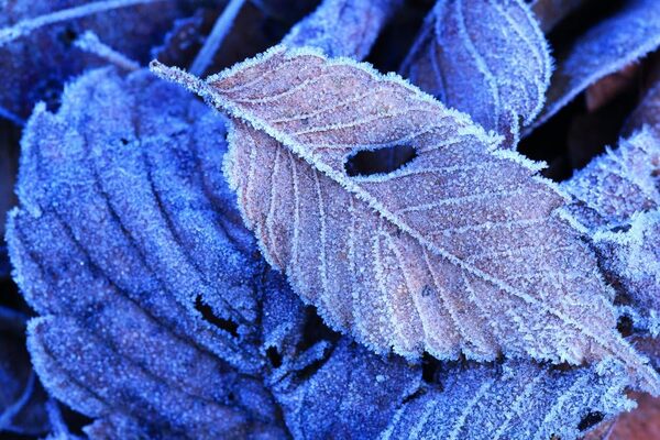 Objectif Tamron - SP 90mm F/2.8 Di MACRO 1:1 VC USD - Monture Canon