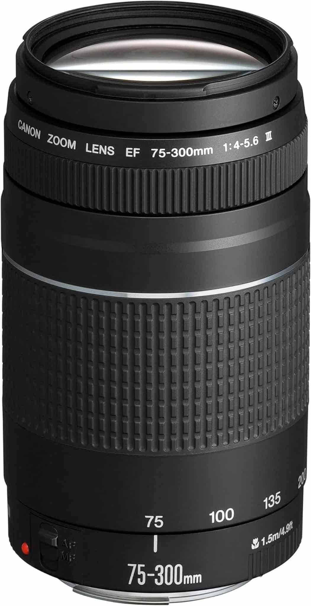 Test : canon EF 75-300mm f/4.0-5.6 III, l'ancien modèle en action