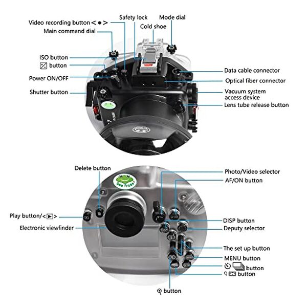 Test complet du boîtier Sea Frogs pour Nikon Z7 et Z6 : performance, étanchéité et conseils d'utilisation pour photographes aventureux