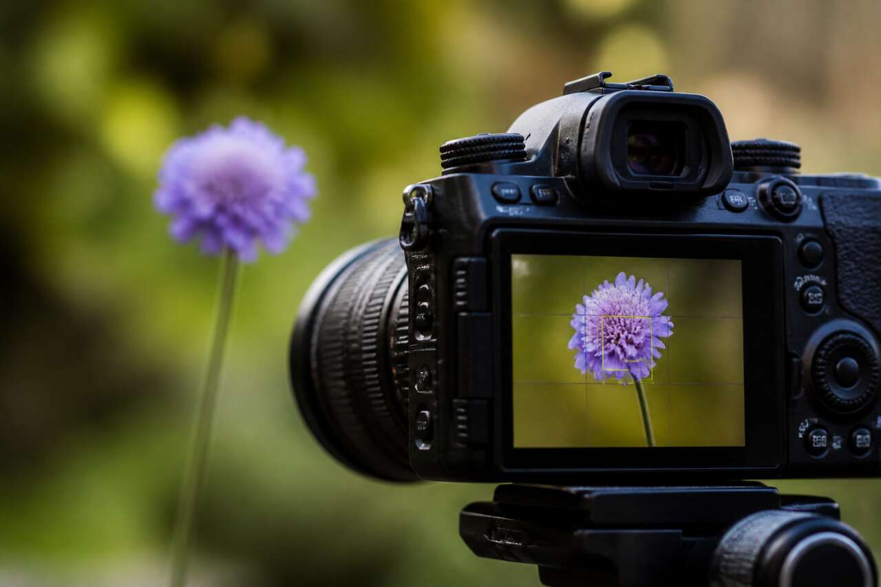 Autofocus : définition et rôle en photographie Autofocus : définition et rôle en photographie